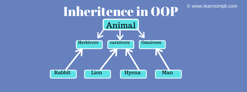 Inheritance in OOP, Introduction and Advantages