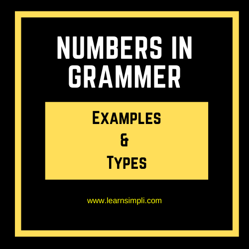 Number in English Grammar