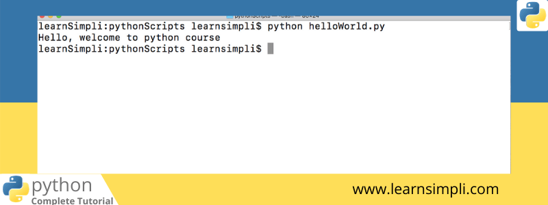 How to run python script code snippet