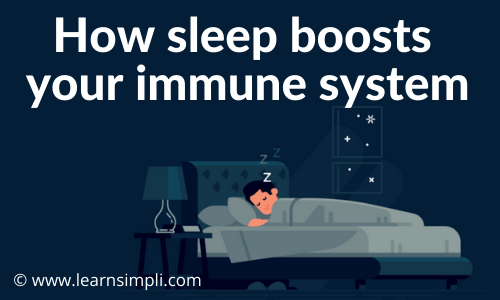 How sleep boosts your immune system?